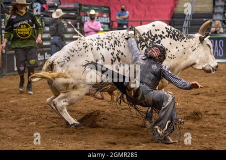 Newark, Usa. September 2021. Austin Richardson Rides werden beim Professional Bull Riders 2021 Unleash the Beast Event im Prudential Center in Newark fies böse. (Foto von Ron Adar/SOPA Images/Sipa USA) Quelle: SIPA USA/Alamy Live News Stockfoto