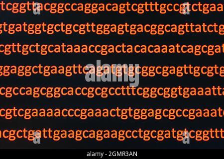 Abstrakter Hintergrund, Genomsequenzierung. Die Sequenz der Nukleotidbasen eines DNA-Fragments. Stockfoto