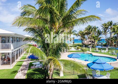 Delray Beach Florida, Wright by the Sea, Hotel Motel Resort Swimmingpool Bereich Palmen Anlage Stockfoto
