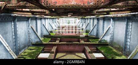 Verrostete Metallstruktur einer alten Eisenbahnbrücke, bedeckt mit Moos Stockfoto
