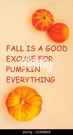 Orange Kürbisse mit Text, Herbst ist eine gute Entschuldigung für Kürbis alles Stockfoto
