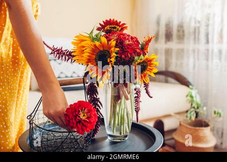 Nahaufnahme der Blumenstrauß Anordnung. Frau stellt Sonnenblumen und Zinnien in Vase auf den Tisch zu Hause. Frische Herbst gelb rot braun blüht. Innenausstattung und Einrichtung Stockfoto