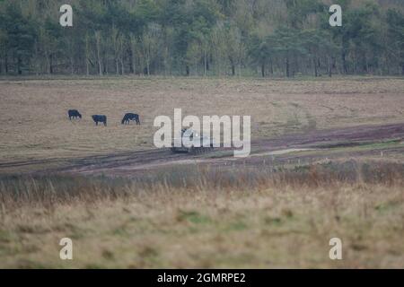 Britische Armee Krieger FV510 Infanterie Kampffahrzeug Panzer in Aktion bei einer militärischen Übung, Salisbury Plain, Wilts UK Stockfoto