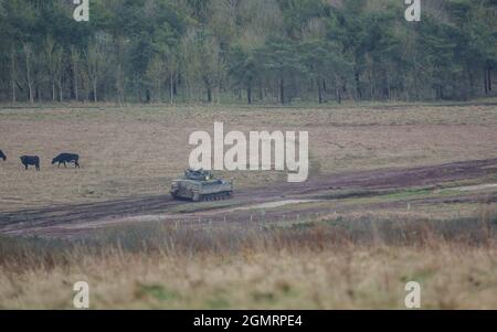 Britische Armee Krieger FV510 Infanterie Kampffahrzeug Panzer in Aktion bei einer militärischen Übung, Salisbury Plain, Wilts UK Stockfoto