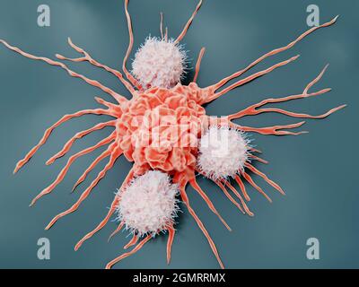 Natürliche Killerzellen, die eine Krebszelle angreifen, Illustration Stockfoto