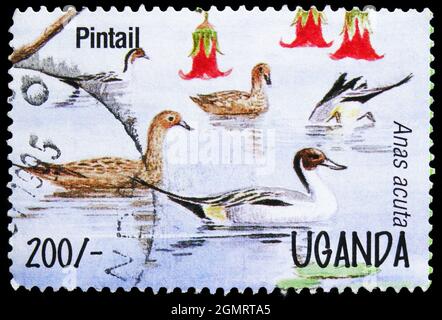 MOSKAU, RUSSLAND - 6. NOVEMBER 2019: In Uganda gedruckte Briefmarke zeigt Northern Pintail (Anas acuta), Serie, um 1995 Stockfoto