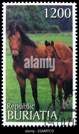 MOSKAU, RUSSLAND - 6. NOVEMBER 2019: Briefmarke gedruckt in Cinderellas zeigt Stute und Fohlen, Buriatia Russland Serie, um 1997 Stockfoto