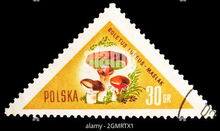 MOSKAU, RUSSLAND - 6. NOVEMBER 2019: Briefmarke in Polen zeigt Slippery Jack, Pilzes Serie, 30 gr - Polish grosz, um 1959 Stockfoto