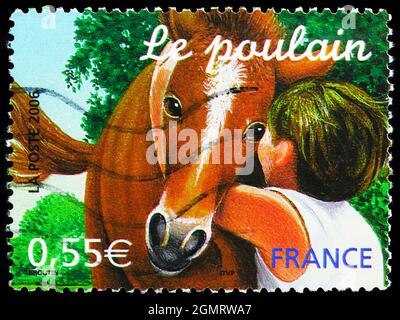 MOSKAU, RUSSLAND - 6. NOVEMBER 2019: In Frankreich gedruckte Briefmarke zeigt Fohlen (Equus ferus caballus), Junge Tiere Serie, um 2006 Stockfoto