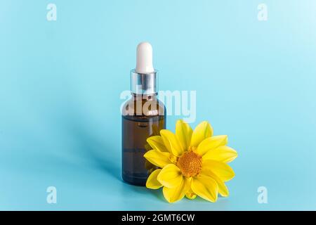 Ätherisches Öl in brauner Tropfflasche und gelbe Blume auf blauem Hintergrund. Konzept natürliche organische Beauty-Kosmetik-Produkt. Stockfoto