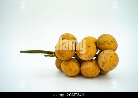 Lokale Frucht namens Buah tampoi oder Baccaurea macrocarpa. Heimisch in Südostasien. Selektive Fokuspunkte. Unscharfer Hintergrund Stockfoto