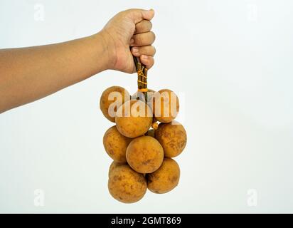 Lokale Frucht namens Buah tampoi oder Baccaurea macrocarpa. Heimisch in Südostasien. Selektive Fokuspunkte. Unscharfer Hintergrund Stockfoto