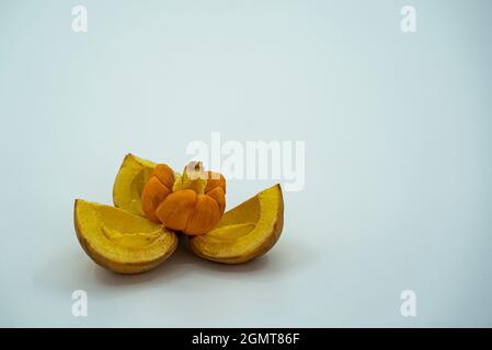 Lokale Frucht namens Buah tampoi oder Baccaurea macrocarpa. Heimisch in Südostasien. Selektive Fokuspunkte. Unscharfer Hintergrund Stockfoto