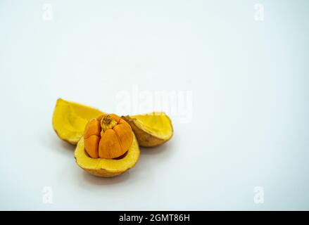 Lokale Frucht namens Buah tampoi oder Baccaurea macrocarpa. Heimisch in Südostasien. Selektive Fokuspunkte. Unscharfer Hintergrund Stockfoto