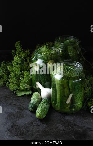 Hausgemachte eingelegte Gurken im Glas, Knoblauch und frischer Dill auf schwarzem Hintergrund. Low-Key-Foto, Kopierbereich. Hochwertige Fotos Stockfoto