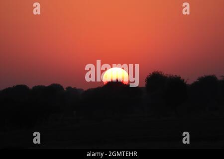 Blick auf volle runde gelbe helle Sonne und gedämpftes Sonnenlicht, Sonnenuntergang hinter Silhouette wilden Bäumen und kleinen Hügel, die volle Helligkeit und scharf der Sonne in Stockfoto