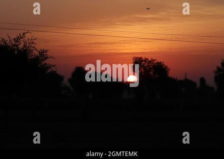 Blick auf volle runde gelbe helle Sonne und gedämpftes Sonnenlicht, Sonnenuntergang hinter Silhouette wilden Bäumen und kleinen Hügel, die volle Helligkeit und scharf der Sonne in Stockfoto