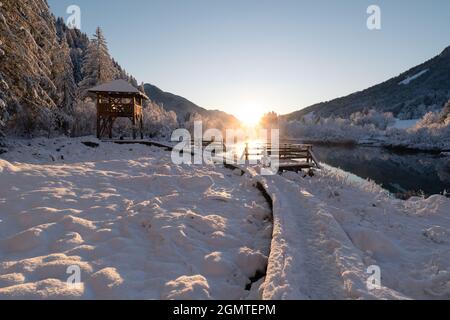 Kalter Wintermorgen am Zelenci-See in Kranjska Gora, Slowenien. Stockfoto