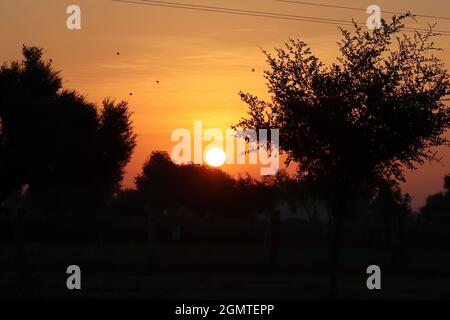 Blick auf volle runde gelbe helle Sonne und gedämpftes Sonnenlicht, Sonnenuntergang hinter Silhouette wilden Bäumen und kleinen Hügel, die volle Helligkeit und scharf der Sonne in Stockfoto