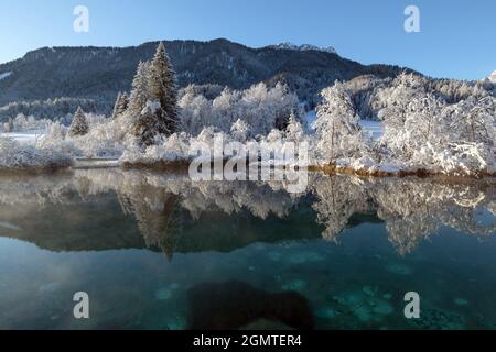 Kalter Wintermorgen am Zelenci-See in Kranjska Gora, Slowenien. Stockfoto