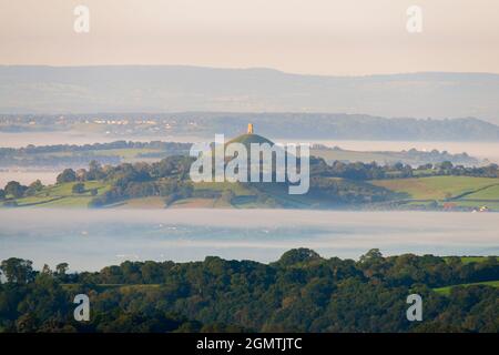 Glastonbury, Somerset, Großbritannien. September 2021. Wetter in Großbritannien. Das Glastonbury Tor in Somerset ist an einem warmen, sonnigen Morgen am letzten Tag des astronomischen Sommers von einem Meer aus Nebel umgeben. Bildnachweis: Graham Hunt/Alamy Live News Stockfoto