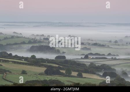 Brentor, Devon, Großbritannien. September 2021. Wetter in Großbritannien: Ein herbstlicher Start in den Tag, wenn morgens Nebel über dem ländlichen West Devon in der Nähe von Brentor, West Devon, aufsteigt. Kredit: Celia McMahon/Alamy Live Nachrichten Stockfoto