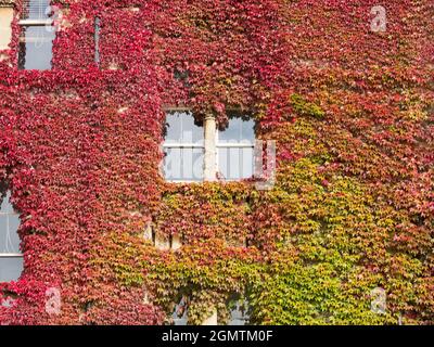 Oxford, England - 10. Oktober 2019; gegründet 1525 von Thomas Wolsey, Lord Chancellor of England, ist das Christ Church College nach wie vor eines der ältesten, reichen Stockfoto