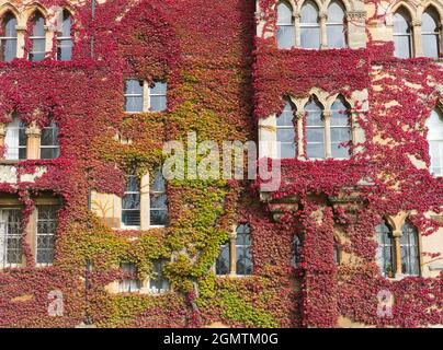 Oxford, England - 10. Oktober 2019; gegründet 1525 von Thomas Wolsey, Lord Chancellor of England, ist das Christ Church College nach wie vor eines der ältesten, reichen Stockfoto