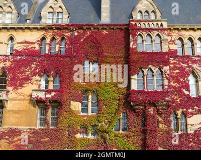 Oxford, England - 10. Oktober 2019; gegründet 1525 von Thomas Wolsey, Lord Chancellor of England, ist das Christ Church College nach wie vor eines der ältesten, reichen Stockfoto