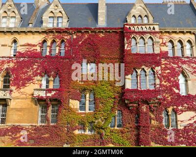 Oxford, England - 10. Oktober 2019; gegründet 1525 von Thomas Wolsey, Lord Chancellor of England, ist das Christ Church College nach wie vor eines der ältesten, reichen Stockfoto