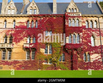 Oxford, England - 10. Oktober 2019; gegründet 1525 von Thomas Wolsey, Lord Chancellor of England, ist das Christ Church College nach wie vor eines der ältesten, reichen Stockfoto
