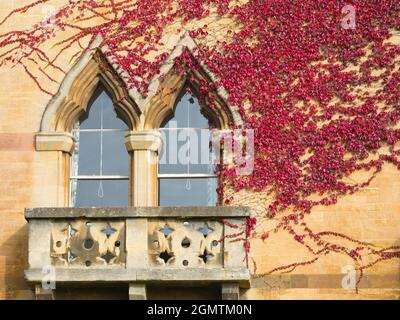 Oxford, England - 10. Oktober 2019; gegründet 1525 von Thomas Wolsey, Lord Chancellor of England, ist das Christ Church College nach wie vor eines der ältesten, reichen Stockfoto