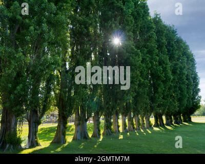 Abingdon, England - 20. Mai 2020; Keine Menschen in Schuss. Abbey Fields ist ein öffentlicher Park neben der Themse in Abingdon, Oxfordshire. Es braucht seine Stockfoto