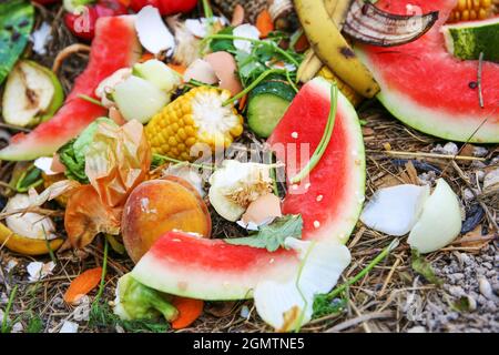 Hausmüll für Kompost von Obst und Gemüse im Garten. Stockfoto