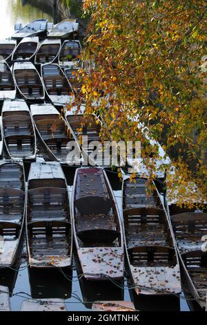 Oxford, England - 10. Oktober 2019; Eine ruhige Szene von der Magdalenbrücke über den Fluss Cherwell in Oxford, England. Dies ist ein berühmter Ort für Wetten Stockfoto