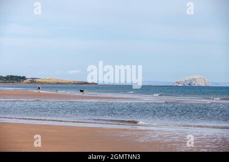 Belhaven Bay in der Nähe von Dunbar, Schottland Stockfoto