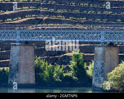 Das malerische Douro-Tal, das von der Atlantikküste bei Porto bis nach Zentralspanien reicht, war die erste ausgewiesene Weinregion der Welt Stockfoto