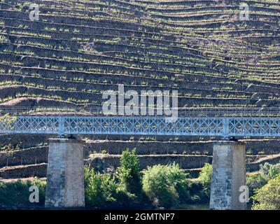 Das malerische Douro-Tal, das von der Atlantikküste bei Porto bis nach Zentralspanien reicht, war die erste ausgewiesene Weinregion der Welt Stockfoto