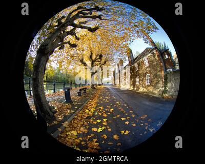 Abingdon, England - 25. Oktober 2020; Keine Menschen in Schuss. Idyllischer Blick auf die Themse bei Abingdon, im Spätherbst. Saint Helen's Wharf, auf den Oppos gesehen Stockfoto