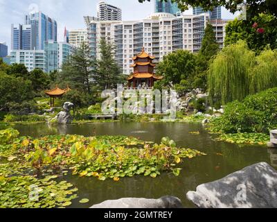 Sydney, Australien - 16. Februar 2019 Der Chinese Garden of Friendship ist ein klassischer chinesischer Garten in Chinatown, Sydney, Australien. Modus Stockfoto