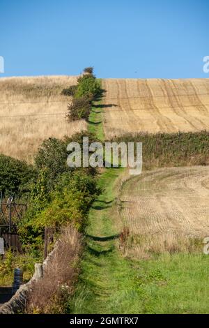 Der Pilgerweg, der in Kinglassie, Fife, Schottland, bergauf geht. Stockfoto