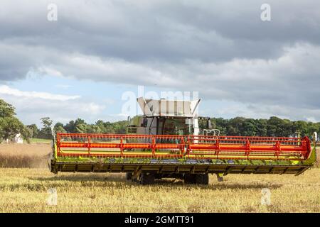 Mähdrescher auf dem Feld in der Nähe von North Berwick, East Lothian Stockfoto