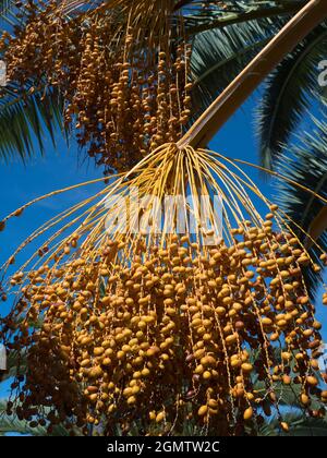 Pintao, Portugal - 14. April 2017; keine Menschen im Blick. Das malerische Douro-Tal, das von der Atlantikküste in Porto bis nach Central Sp. Z o.o. führt Stockfoto