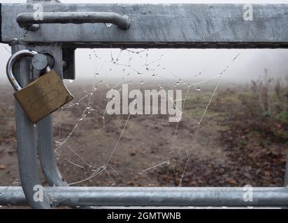 Radley Village, Oxfordshire, England - 27. November 2020; Keine Menschen in Schuss. Man muss früh aufstehen, um diesen Schuss zu bekommen - die Spinne am frühen Morgen Stockfoto