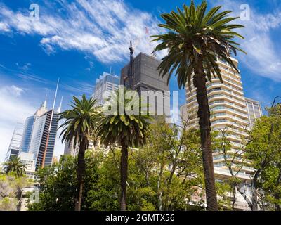 Sydney, Australien - 17. Februar 2109; südlich des Hafens, des Opernhauses und westlich der Innenstadt gelegen, sind die wunderschönen Botanischen Gärten ein fa Stockfoto