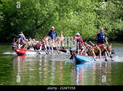 Abingdon, Oxfordshire, Großbritannien - 2009. September; der Dragon Boat Day ist eine seit langem etablierte, jährliche Spendenaktion, die auf und neben dem River T stattfindet Stockfoto