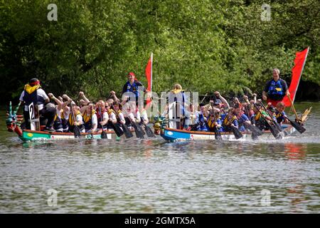 Abingdon, Oxfordshire, Großbritannien - 2009. September; der Dragon Boat Day ist eine seit langem etablierte, jährliche Spendenaktion, die auf und neben dem River T stattfindet Stockfoto