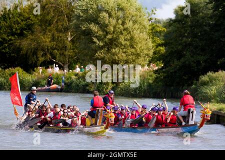 Abingdon, Oxfordshire, Großbritannien - 2012. September; der Dragon Boat Day ist eine seit langem etablierte, jährliche Spendenaktion, die auf und neben dem River T stattfindet Stockfoto