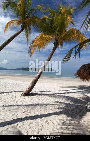 Langkawi, Malaysia - 6. April 2011 Dieses tropische Paradies hat alles - schimmernden weißen Sand, verbogene Palmen und, zumindest am Morgen Stockfoto