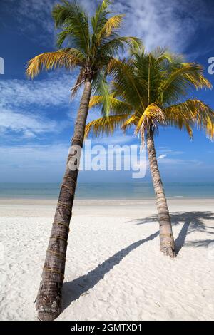 Langkawi, Malaysia - 6. April 2011 Dieses tropische Paradies hat alles - schimmernden weißen Sand, verbogene Palmen und, zumindest am Morgen Stockfoto